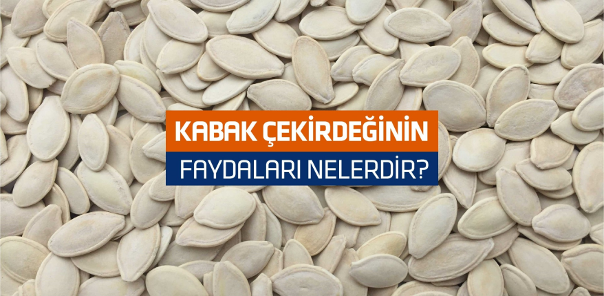 Kabak Çekirdeğinin Faydaları Nelerdir? 