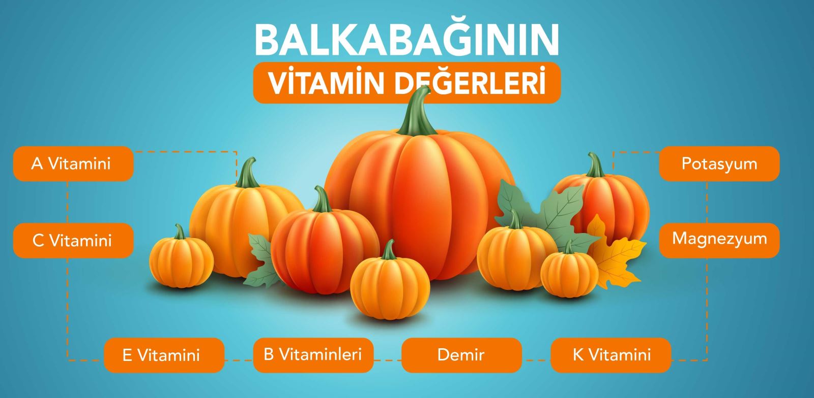 Balkabağı vitamin değerleri