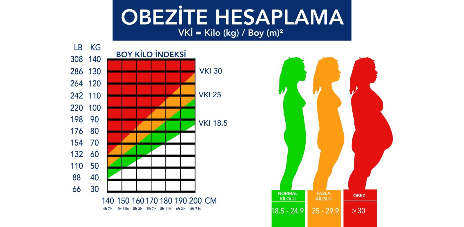 Obezite hesaplama, vücut kitle indeksi (VKİ) ile kişinin ideal kilosunu belirlemeye yardımcı olur. 